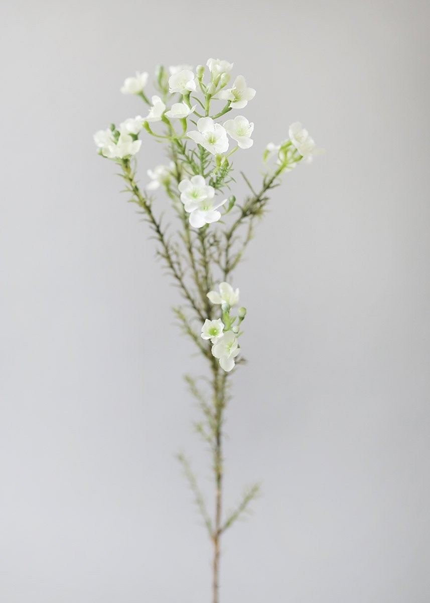 White Fake Waxflower Filler Flowers | Afloral (US)