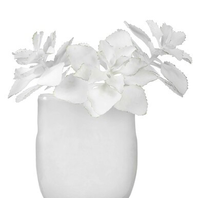 Faux Ruffle Edge Succulent Pick | Z Gallerie