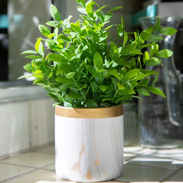 6.5" Artificial Eucalyptus Plant in Planter | Wayfair North America