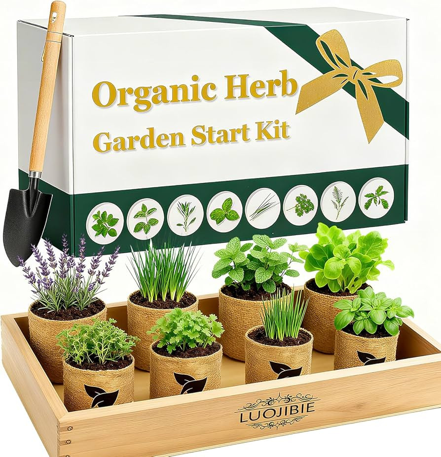 Organic Indoor Herb Garden Start Kit - Unique Gifts for Women, Christmas Gifts for Adults, Easy H... | Amazon (US)