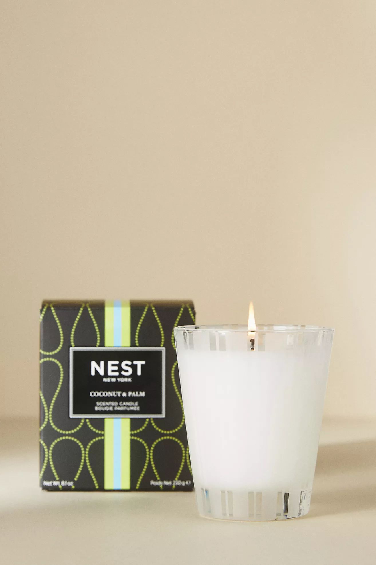 NEST New York Coconut & Palm Classic Candle | Anthropologie (US)