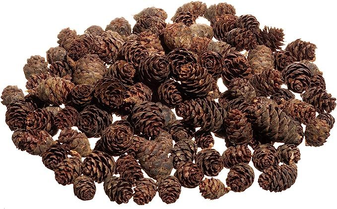 Pine Cones | 8 oz Mini Black Spruce Pine Cones | Small Pine Cones 3/4" - 1 1/4" | Pine Cone Fille... | Amazon (US)