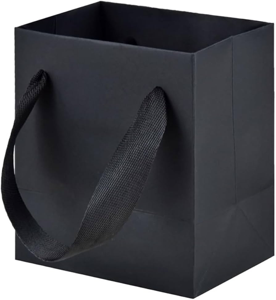 Aosric 12 Pack 4x2.8x4.5 Black Gift Bags – Small Sturdy & Reusable Premium Gift Bags for Jewelr... | Amazon (US)