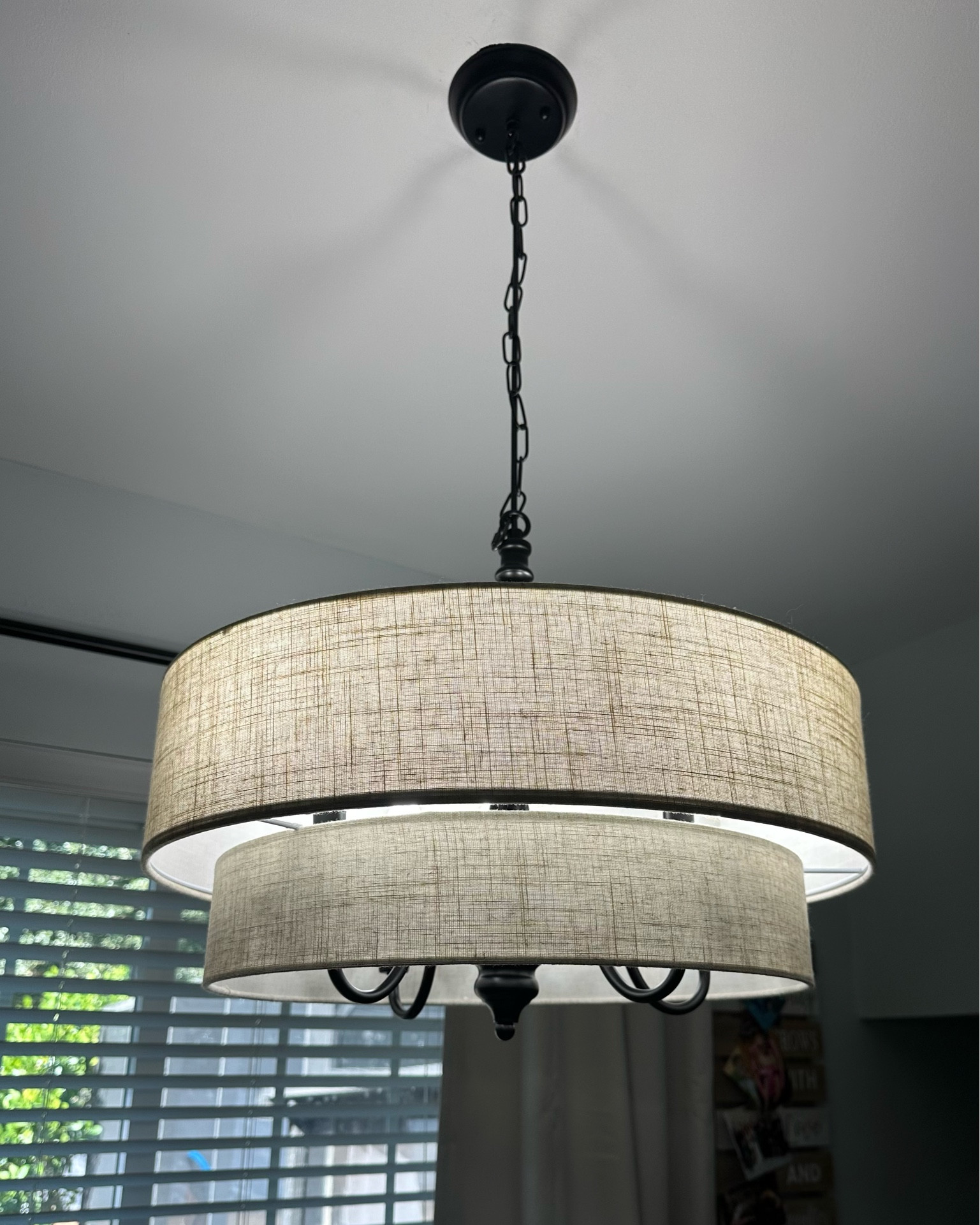 It’s time to upgrade your dining room chandelier! I found this gorgeous light fixture at Wayfair and it was so easy to install. I paired it with some daylight light bulbs and it really lights up our eating space! #lighting 

#LTKHome