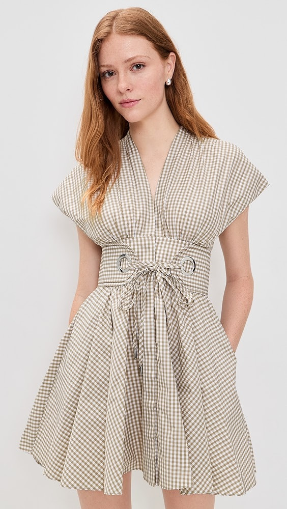 Alizee Gingham Dress | Shopbop