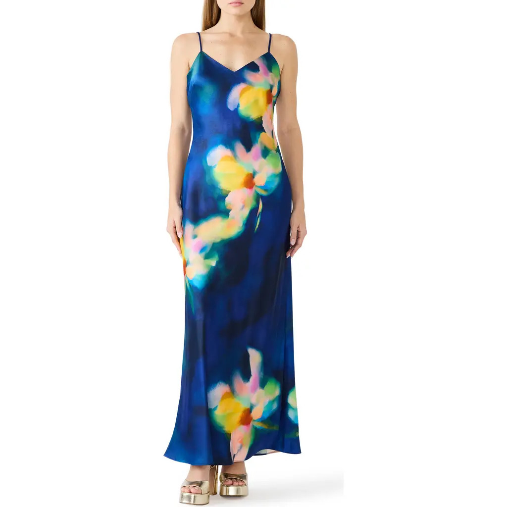 Steve Madden Atara Print Maxi Dress in Rosewater at Nordstrom, Size 4 | Nordstrom