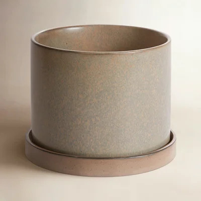 Tyron Ceramic Pot Planter | Wayfair North America
