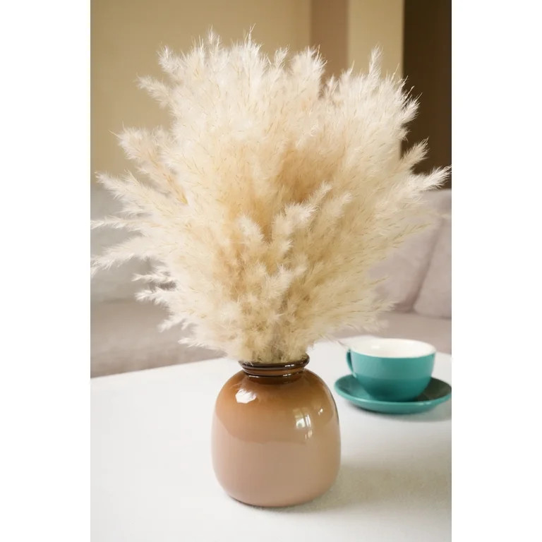Home Decor Collection 16.5 " Pampas Dried Grass in Brown Ceramic Vase Made for Tabletops- 2 lbs -... | Walmart (US)