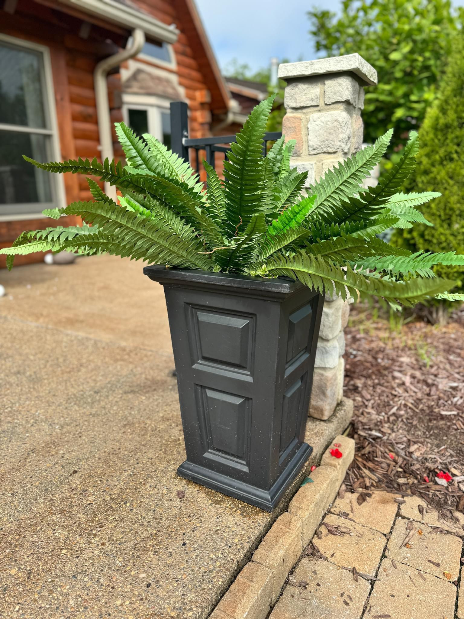 Artificial ferns
Fashionablylatemom 
Fashionably late mom 
Amazon find 