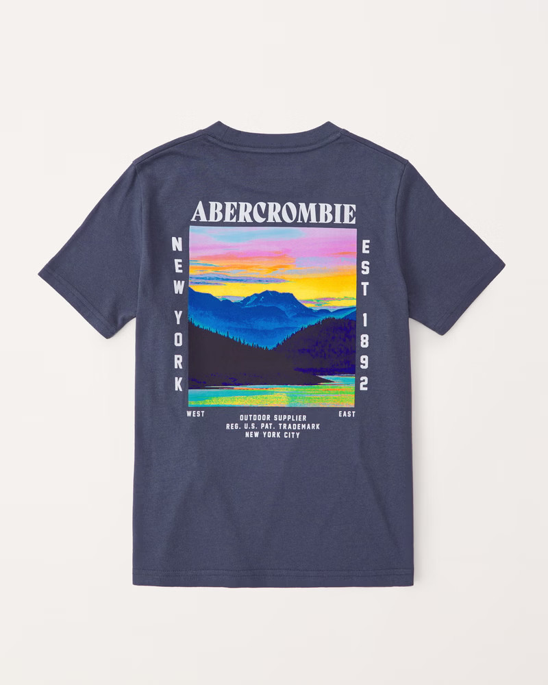 boys imagery logo graphic tee | boys | Abercrombie.com | Abercrombie & Fitch (US)