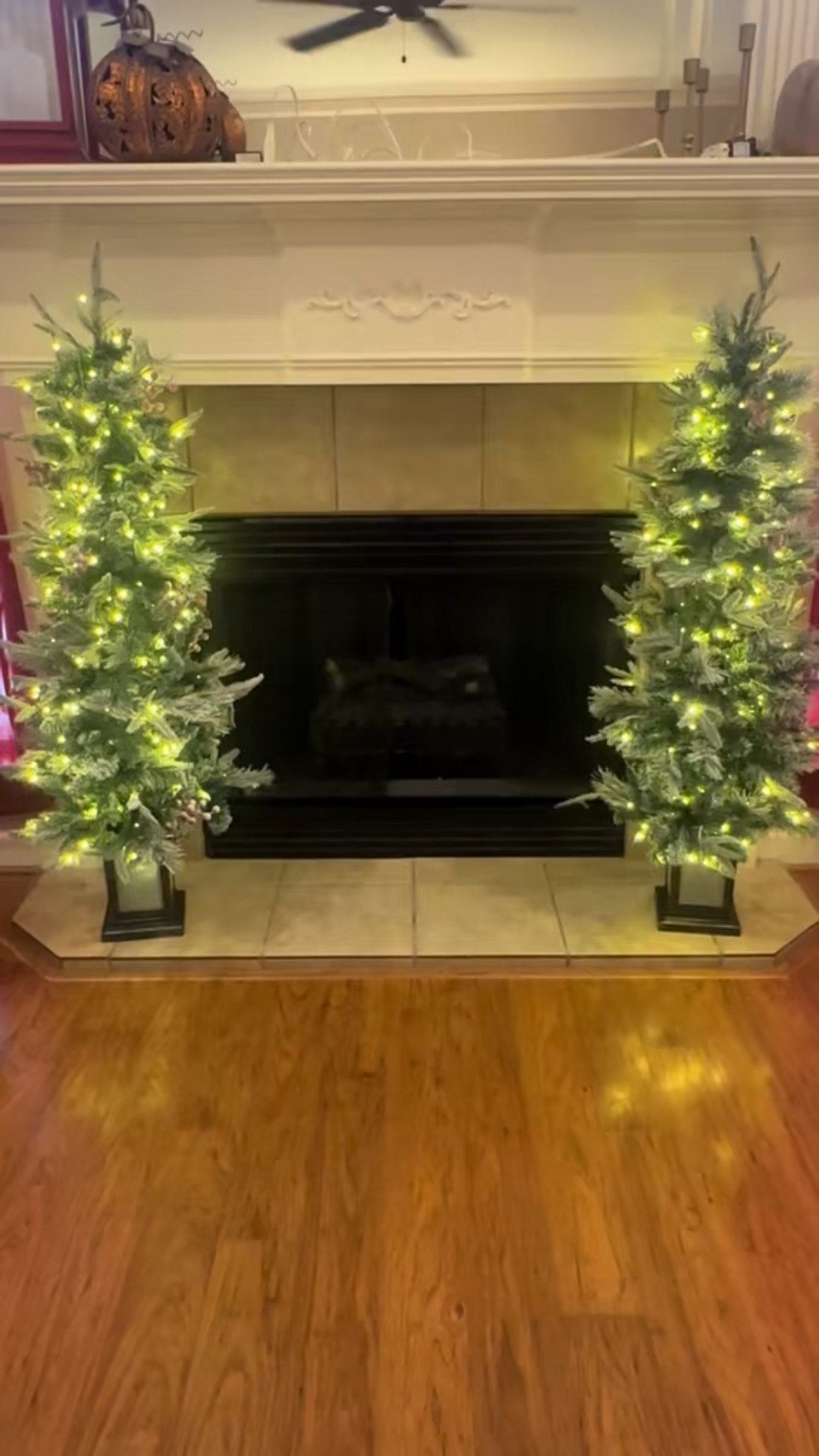Love the warm lights and the twinkle mode on these trees.  And the vase that they come in.  Perfect for fireplaces and porches!

#LTKHoliday #LTKHome #LTKSeasonal