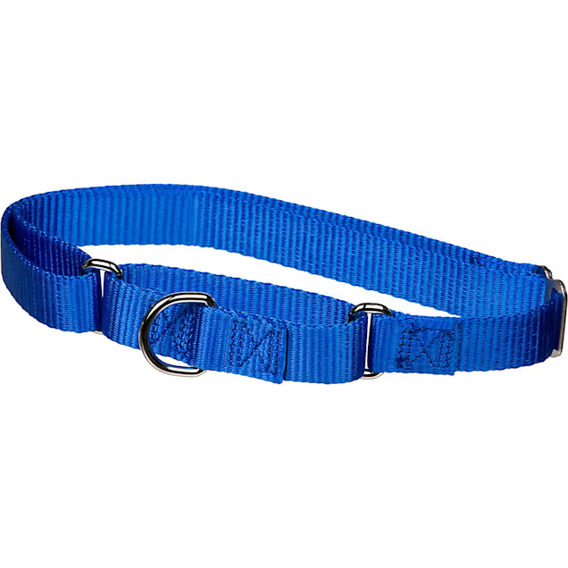 X-tra Control Collar Blue Large 19"-30"  1" width | Petco