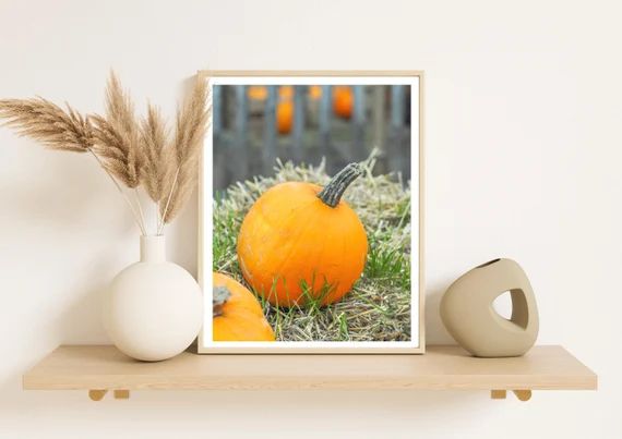 Pumpkin Patch Autumn Print  Colourful Fine Art Photography - Etsy UK | Etsy (UK)