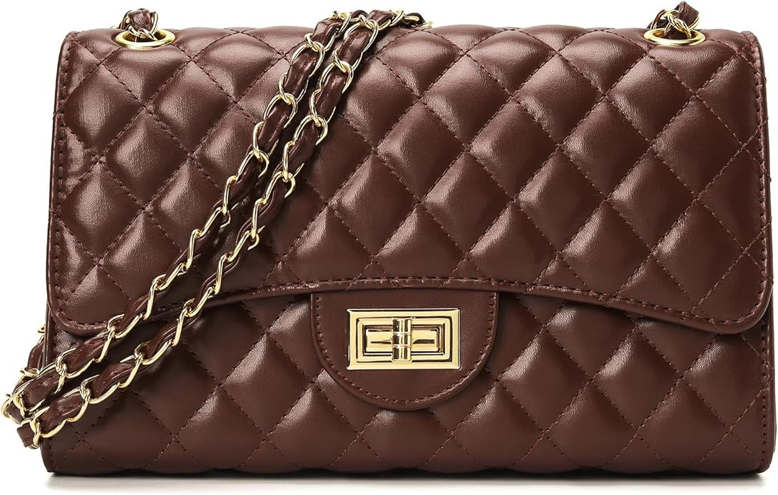 Quilted Leather Crossbody Bags for Women Trendy Ladies Shoulder Purse Satchel HandBag with Chain ... | Amazon (US)