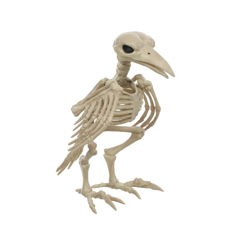 Official Crazybonez Faux Crow Skeleton | Walmart (US)