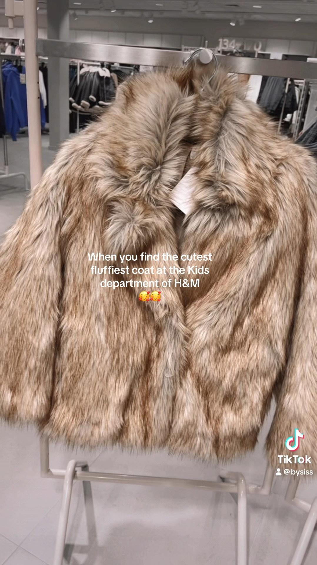 H&M fluffiest faux fur coat 

#LTKSeasonal #LTKFindsUnder50 #LTKStyleTip