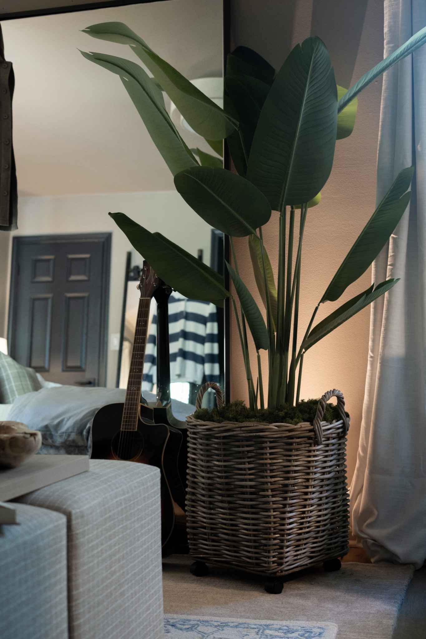 This is such a good find! This basket from Wayfair is the perfect planter for this faux tree!

#LTKdayinmylife #LTKSeasonal #LTKHome