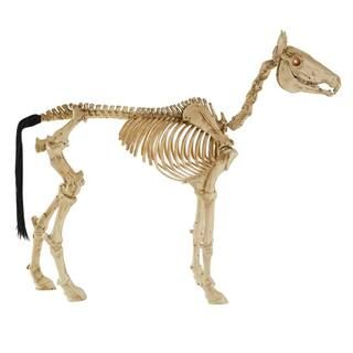 Home Accents Holiday 4 ft. LED Skeleton Pony 2031-52087 - The Home Depot | The Home Depot