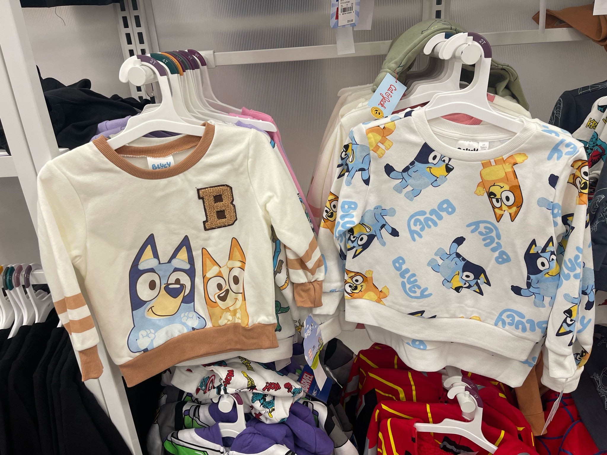Bluey sweatshirts! Perfect for back to school for your toddlers  

#LTKfamily #LTKkids #LTKBacktoSchool