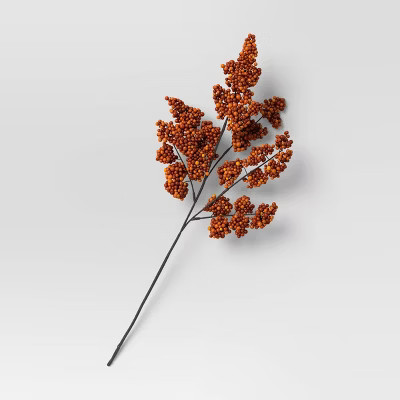 Orange Berry Stem - Room Essentials™ | Target
