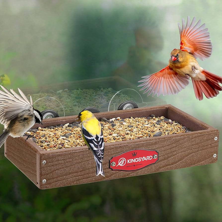 Kingsyard Window Bird Feeder, Strong Suction Cups, Durable Plastic-Wood Composite Platform for Ou... | Amazon (US)