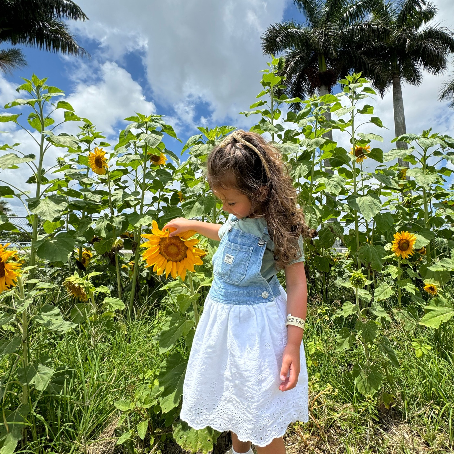 Sunflower fields forever! 🌻

#LTKFindsUnder50 #LTKFamily #LTKKids