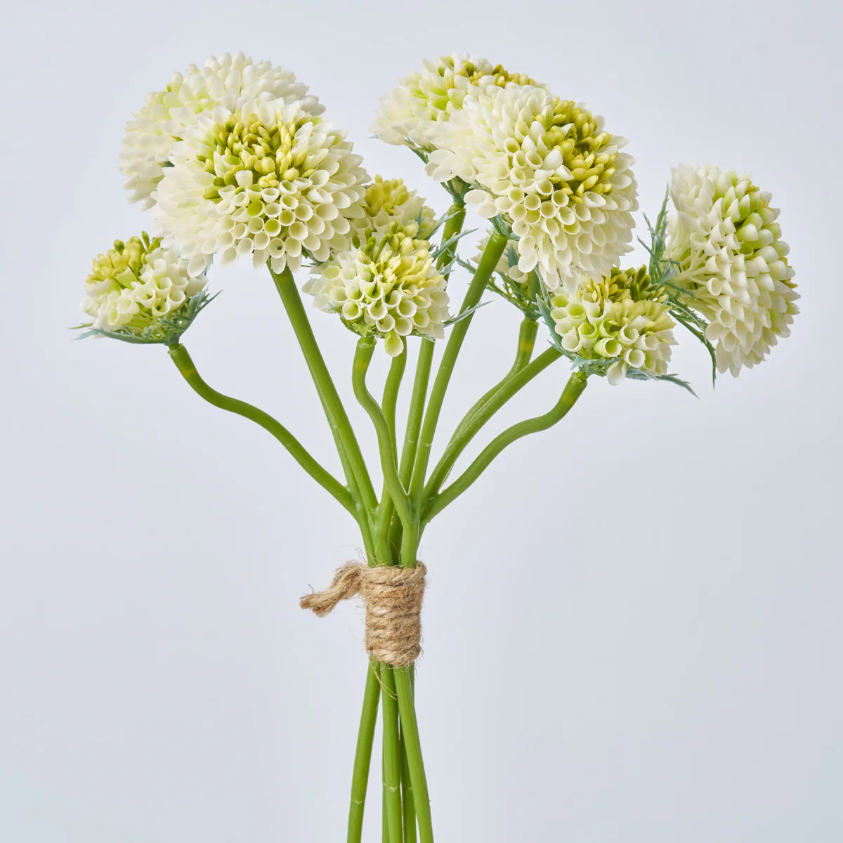 Cream Green Pompon Dahlia Faux Floral Bundle of 5 Stems - 13" | Darby Creek Trading