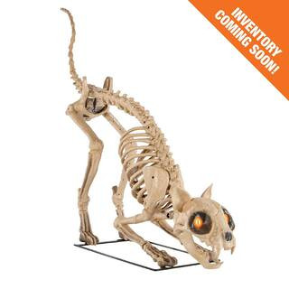 5 ft. Long Grave & Bones LED Skelly's Cat H21 | The Home Depot