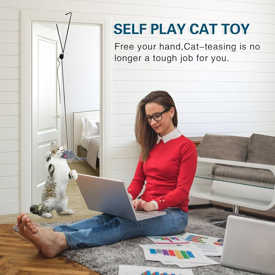 Kalimdor Interactive Cat Feather Toys,Retractable Teaser Toy ，Hanging Interactive Toys for Indo... | Amazon (US)
