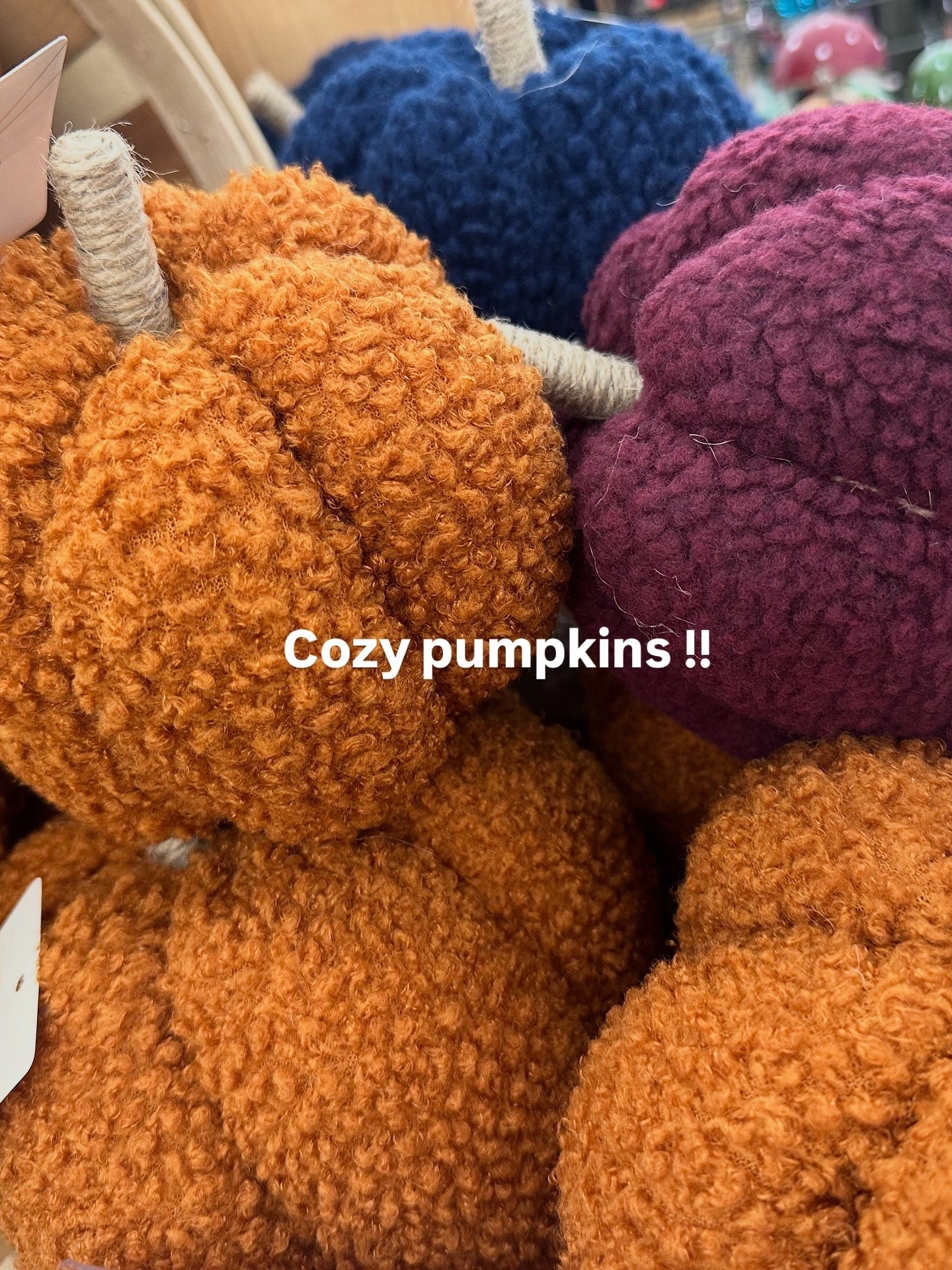 Cozy pumpkin decor ! Really soft !! 

#LTKHome #LTKSeasonal #LTKHalloween