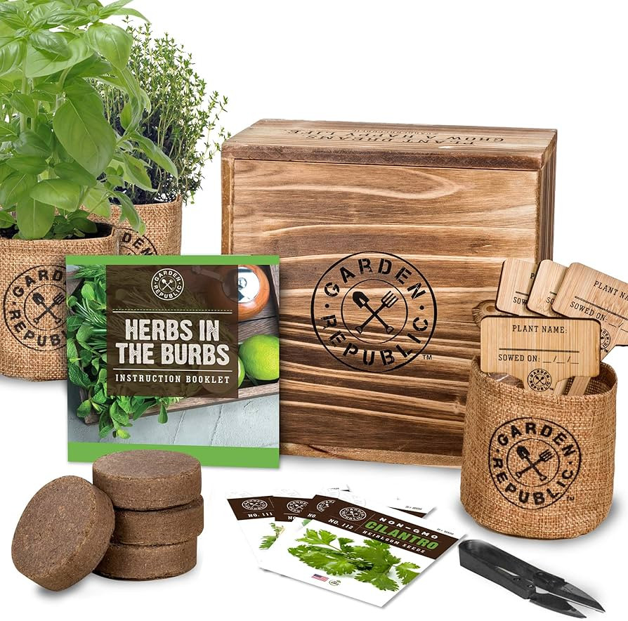 Indoor Herb Garden Starter Kit - Heirloom, Non-GMO Herb Seeds - Basil Thyme Parsley Cilantro Seed... | Amazon (US)