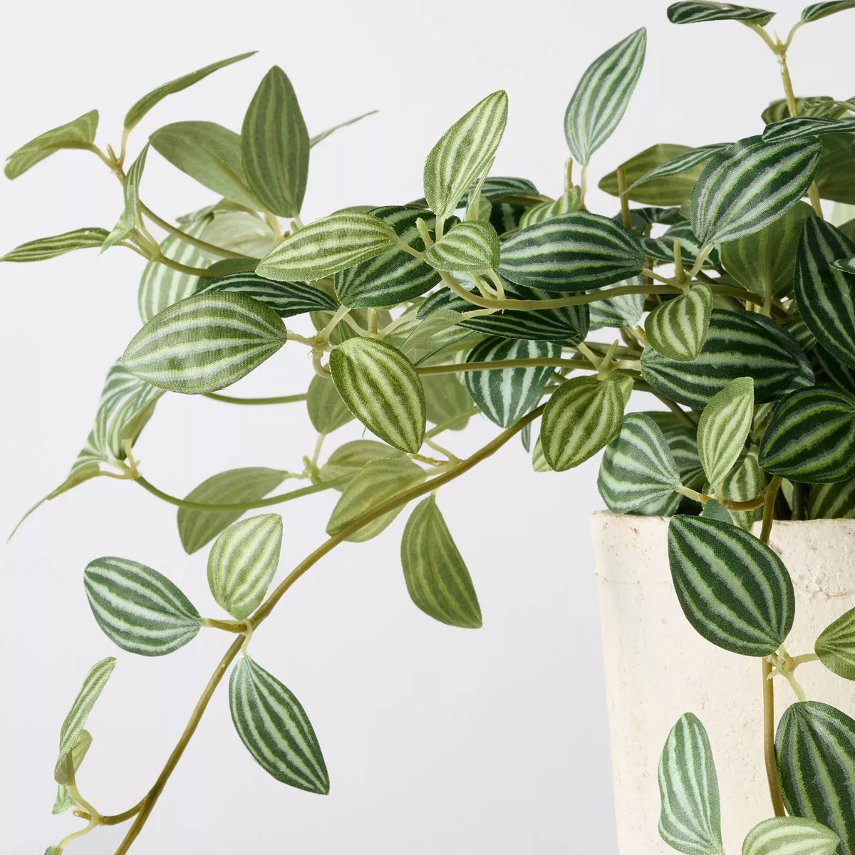 10" Small Trailing Peperomia Artificial Plant - Hearth & Hand™ with Magnolia | Target