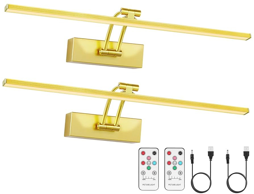 2 Pack Picture Light Battery Operated for Wall, 16inch Wireless Art Light for Painting with Remot... | Amazon (US)