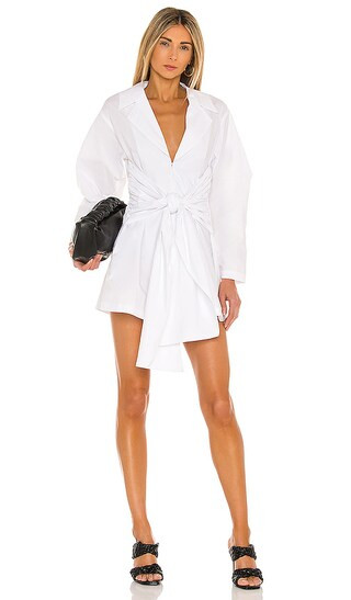 The Draya Mini Dress in White | Revolve Clothing (Global)
