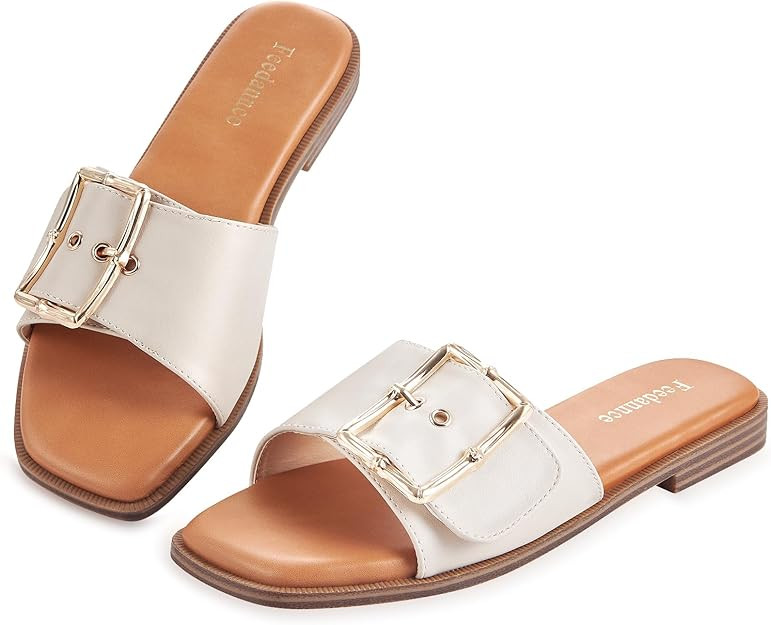 Brand: Feedannce | Amazon (US)