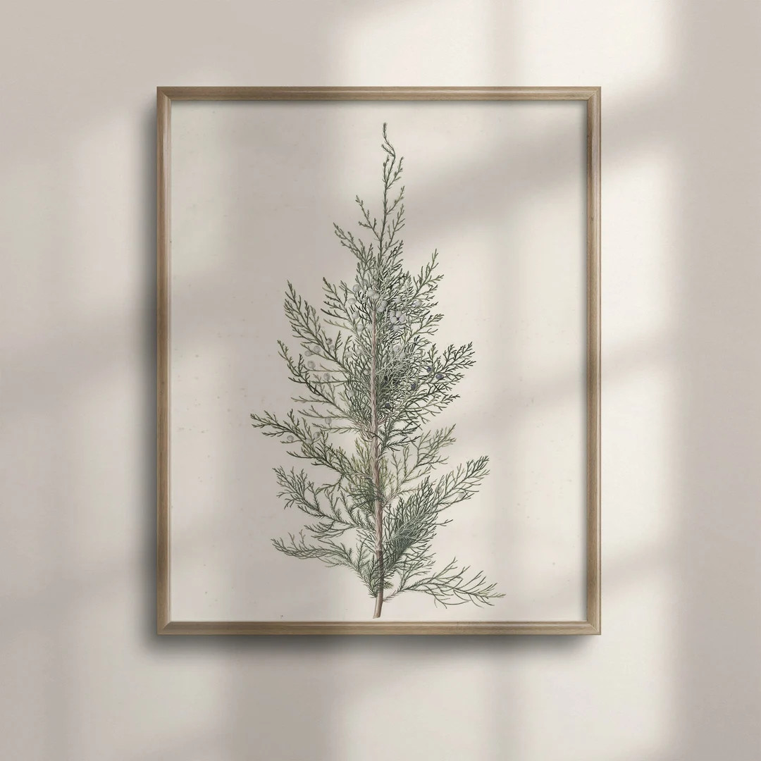 Vintage Botanical Winter Art, Country Christmas Holiday Decor, Juniper Branch and Pine Tree Wall ... | Etsy (US)