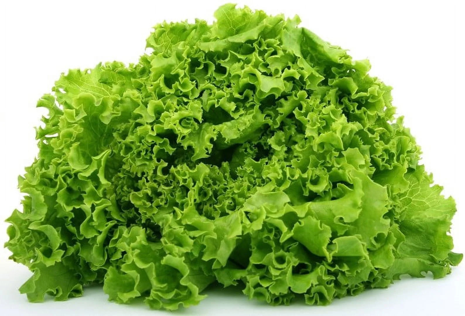 Fresh Green Leaf Lettuce, Each | Walmart (US)