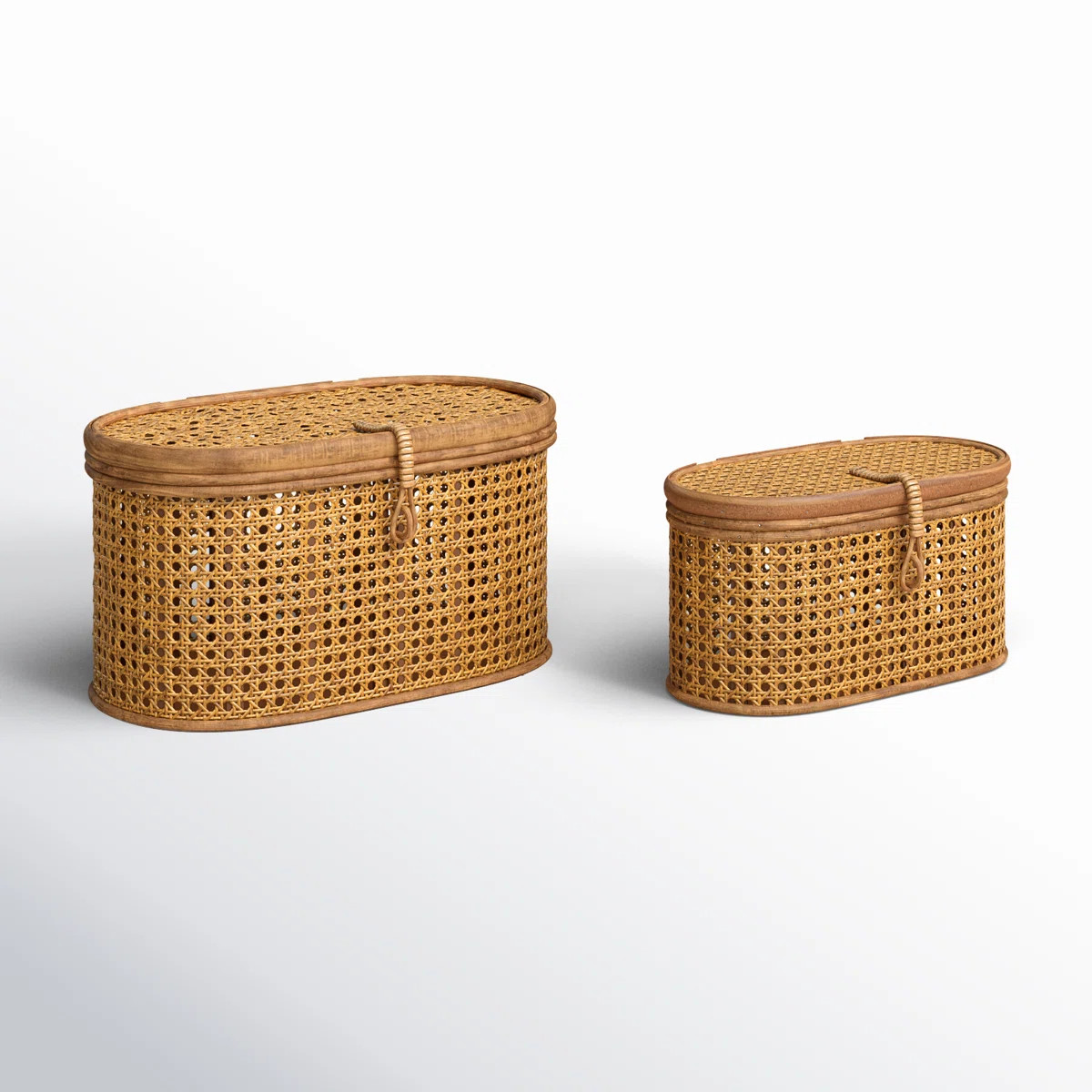 Birch Lane™ Edelie Rattan Bin | Wayfair North America