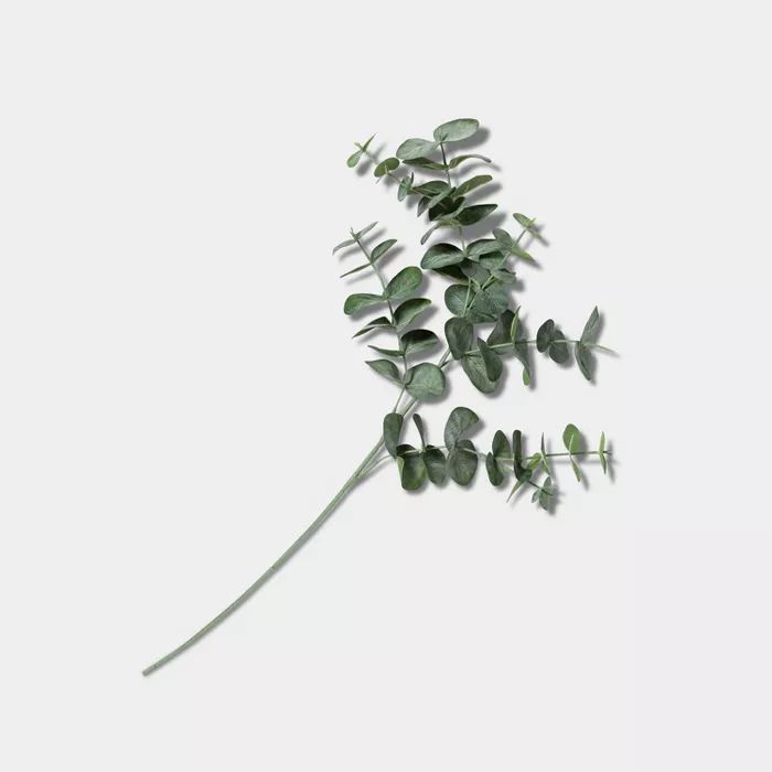 Faux Silver Dollar Eucalyptus Stem - Hearth & Hand™ with Magnolia | Target