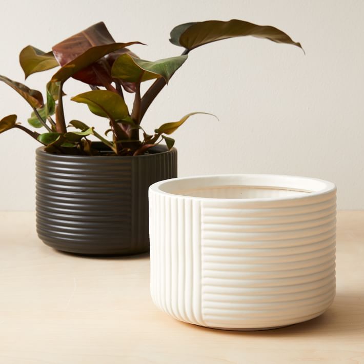 Cecilia Ceramic Indoor/Outdoor Planters | West Elm (US)