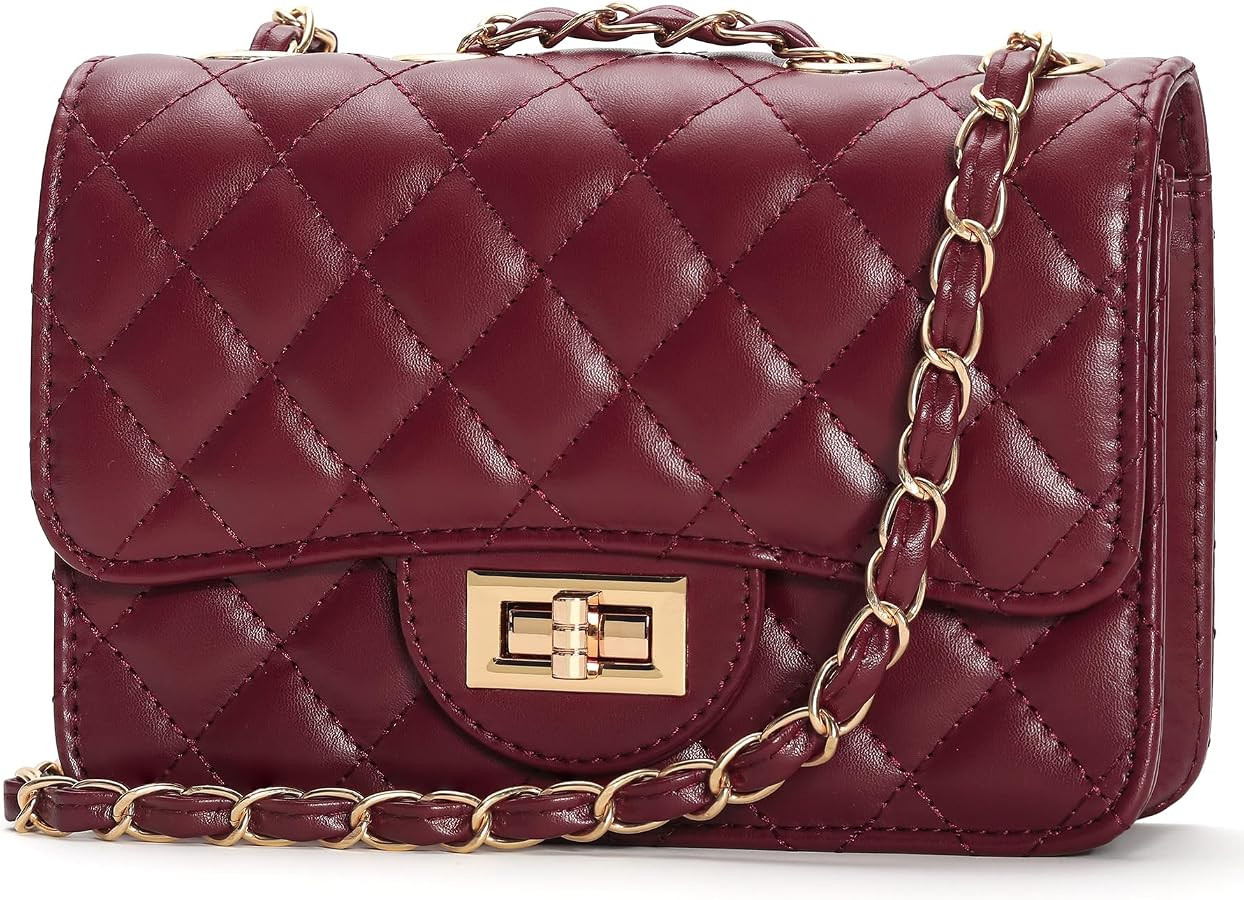 Small Quilted Crossbody Purse for Women Trendy Ladies Shoulder Bag PU Leather Satchel HandBag wit... | Amazon (US)