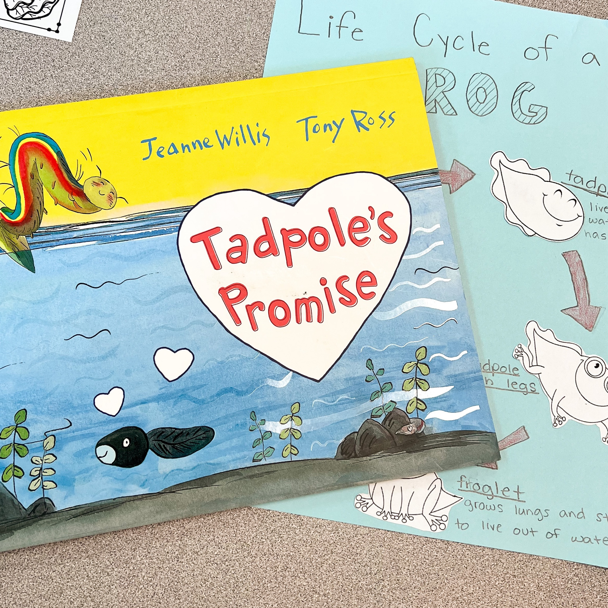 Such a funny children’s book! I love to read this when teaching about the life cycle of a frog and inferencing  

#LTKkids #LTKfindsunder50 #LTKhome