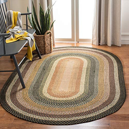 SAFAVIEH Braided Indoor/Outdoor Washable Oval Rug 8x10, Large Multi BRD308A | Amazon (US)