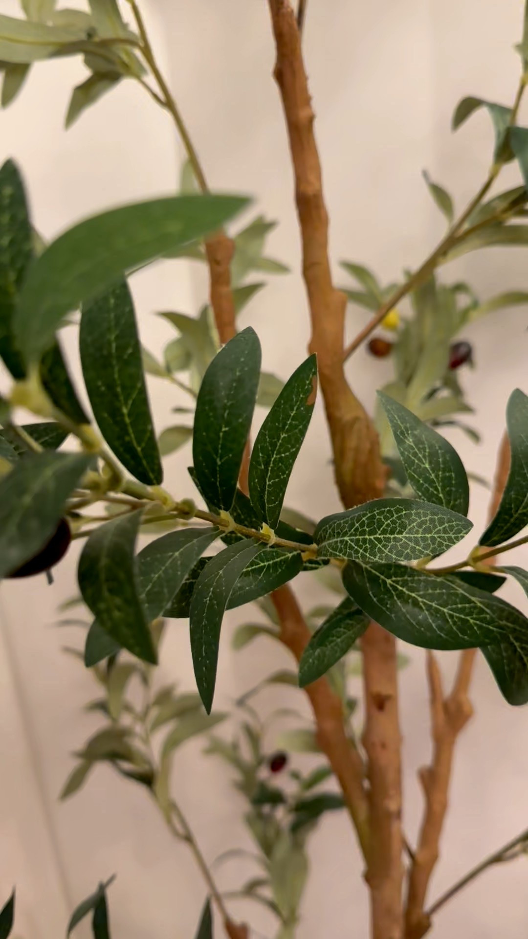 Realistic and affordable plants for any space in your home/ office or simply outdoor living  

#LTKHome #LTKHoliday #LTKSaleAlert