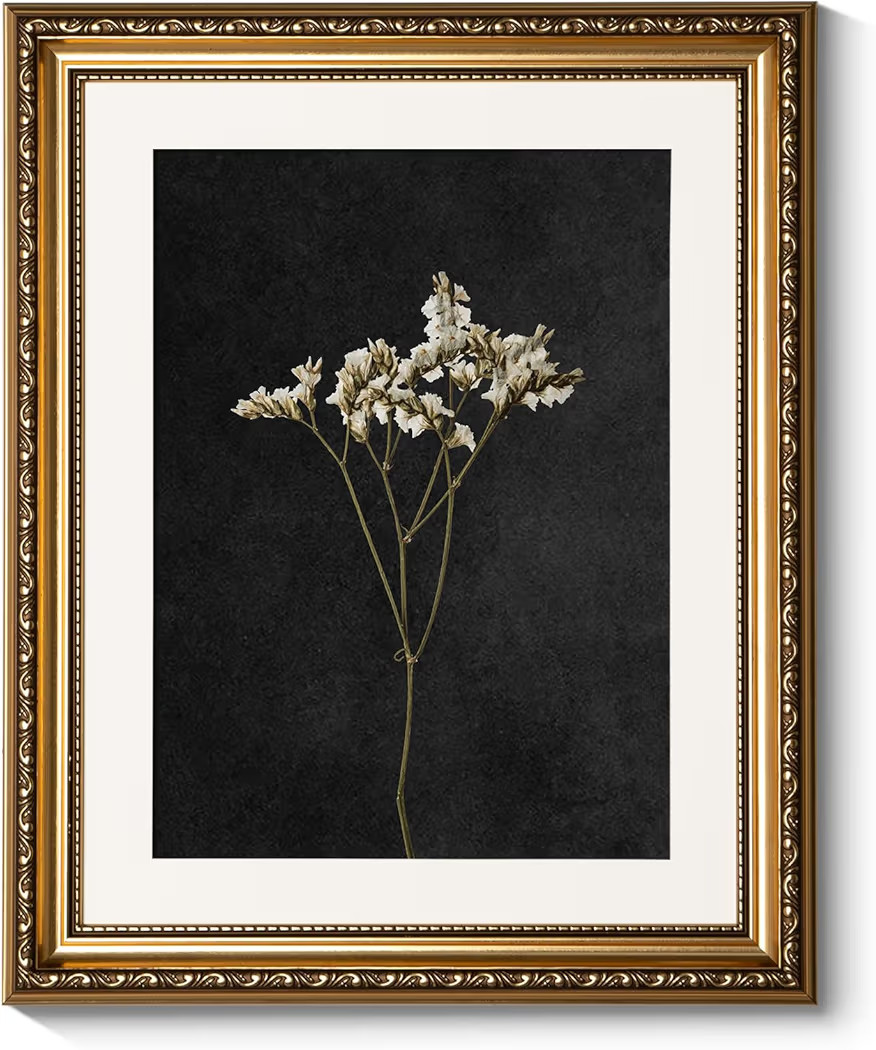 ARPEOTCY Vintage Gold Framed Wall Art, Retro Dark Dried Wildflower Paintings, Canvas Prints Artwo... | Amazon (US)