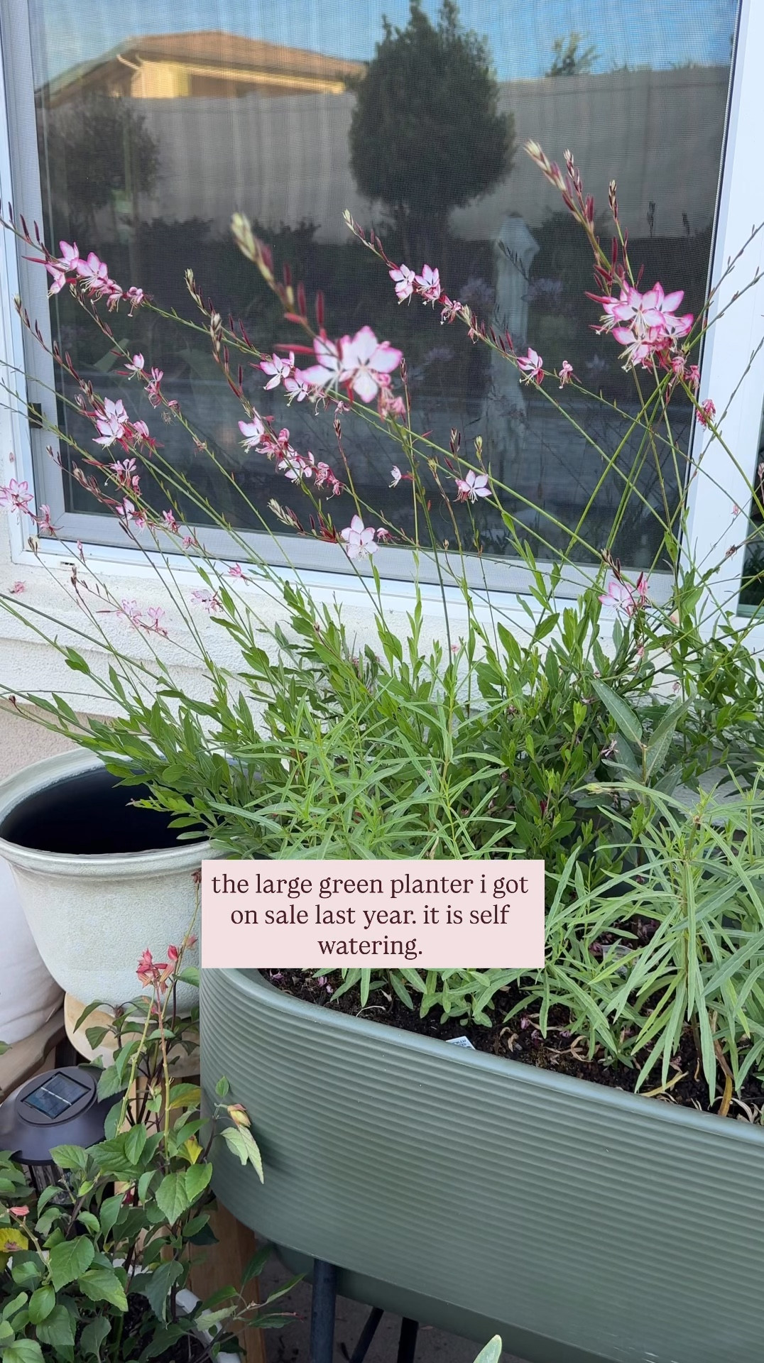 self watering raised planter 

#LTKHome #LTKSeasonal #LTKdayinmylife