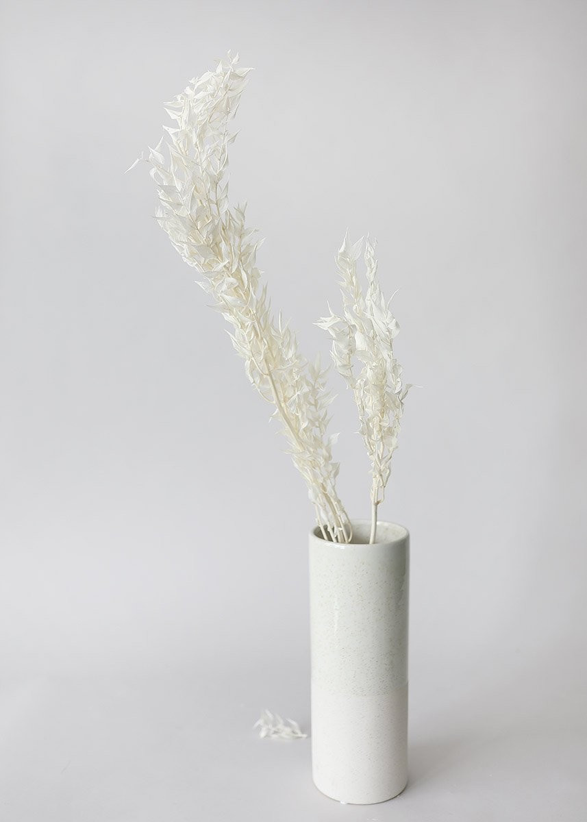 Preserved Ruscus Leaf Bundle in White - 20-26" | Afloral (US)