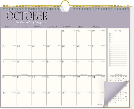 Aesthetic Wall Calendar 2026-2027, 18 Month Horizontal Hanging Calendar with Julian and Holiday D... | Amazon (US)