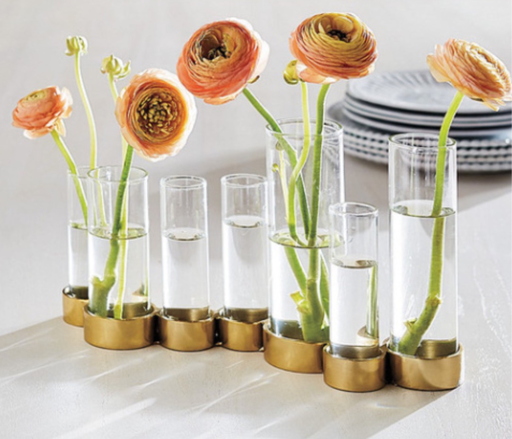 These vases from Ballard are such a sweet home find!


Ballard, Home decor, bedroom, guest room, living room, dining room, home finds, budget friendly home decor, mirror, accent mirror, upholstered bed, accent pillow, abstract art, lighting finds, accent decor, style tip 

#LTKhome #LTKfamily #LTKstyletip