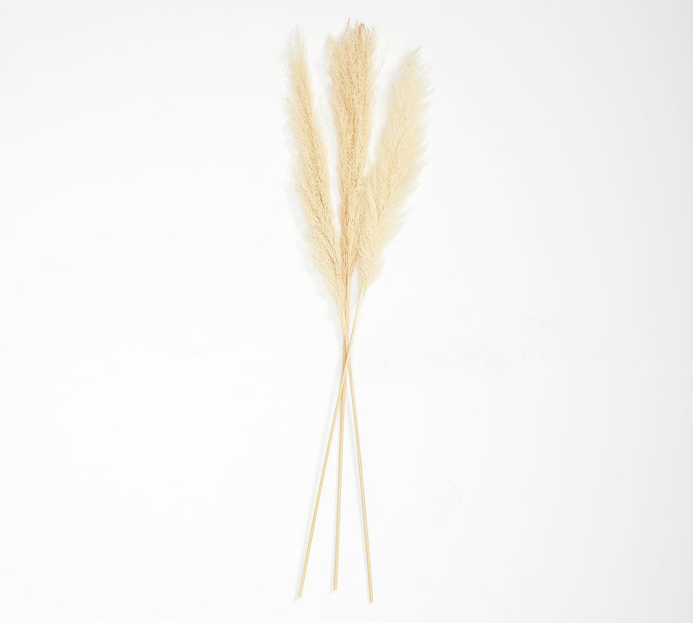 Pb Pampas Grass Branch: S/3: Golden | Pottery Barn (US)